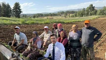 Tavas ve Beyağaç'ta Tütün Dikimi Yapıldı