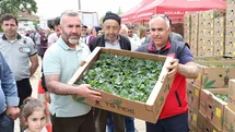 Gebzeli çiftçiye 500 bin sebze fidesi desteği