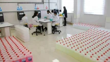 Ağrı'da Gençler Üretim Süreçlerine Katılıyor