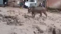 Şebinkarahisar’da şiddetli yağış