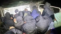 Milas'ta Düzensiz Göçmen Yakalandı