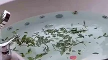 Rize'de Çay Banyosu ve Jakuzi Bir Arada
