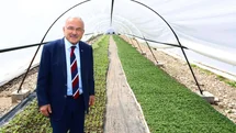 Ordu'da Çiçek Üretimi İle Şehir Güzelleşiyor