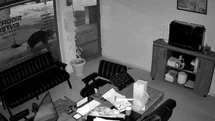 Konya'da Çiçek Hırsızlığı Olayı