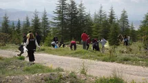 Niğde'de Orman Temizliği Etkinliği