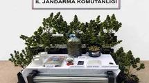 Jandarma Uyuşturucuyla Mücadelede Kararlı