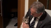 Osmaniye'de Kedi Kapıyı Açtı