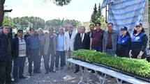 Salihlili üreticilere 34 bin sebze fidesi