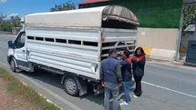 Elazığ'da Hayvan Sevklerine Denetim