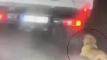 Köpeği Sürükleyen Şahıs Gözaltına Alındı