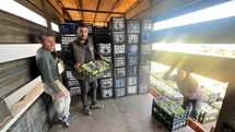 İznik’te mevsimin ilk kabak hasadı