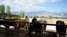 Erzincan'da Kurban Bayramı Heyecanı Başladı