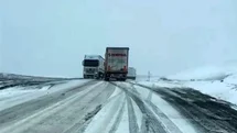 Kar ve Tipi Ardahan'ı Vurdu