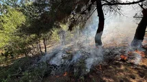 Bilecik'te Orman Yangını Çıktı