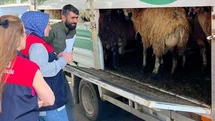 Elazığ'da Kurban Bayramı Denetimleri Başladı
