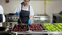 Muğla'da 206 Kişi NİYEP ile İşe Alındı