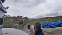 Yozgat'ta Eğlenceli Tavuk Olayı