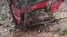 Burdur'da Vinç Ormanlık Alana Daldı
