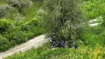 Hatay'da Dronla Yakalanan Göçmenler