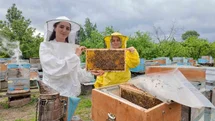 Genç Kadın Girişimciden 350 Kovanlık Başarı Düzce'de