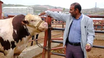 Van’da Kurban Bayramı Hareketliliği Başladı