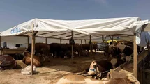 Kocaeli'de Kurban Pazarlarında İlaçlama Çalışması