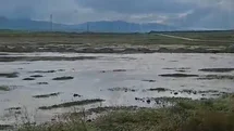 Günyüzü’de aşırı yağış sonucunda sel meydana geldi