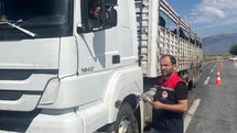 Aydın’da kurbanlık nakil yol kontrolleri yapıldı