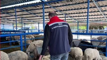 Bolu'da Kurban Pazarları Denetlendi