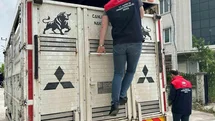 Düzce'de Hayvan Hareketliliği Denetim Altında