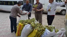 Erzincan'da Işgın Satışı Başladı
