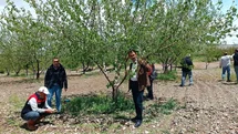 Elazığ'da Dolu Hasar Tespiti Yapıldı
