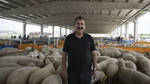 Kurban Kesiminde Dikkat Edilmesi Gerekenler