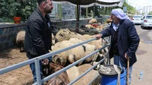 Diyarbakır Kurban Pazarında Sessizlik Hâkim