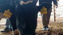 Mert'in Sağlığına Destek İçin Bağışlar Toplandı