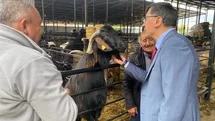 Başkan Eyüp Kahveci’den Kurban Pazarı ziyareti