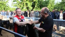 Muğla’da Kurban pazarlarında sıkı denetim