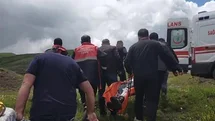 Mantar toplarken ayı saldırısına uğradı