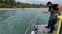 Sinop'ta Kaçak Avcılığa Son Verildi