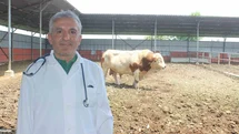 Düzce'de Kurban Kesimi İçin Uyarılar