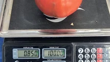 Aydın’da 850 gramlık domates pazarda ilgi gördü