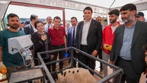 Şehitkamil'de Kurban Bayramı Hazırlıkları Tamamlandı