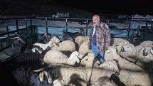 Elazığ'da Kurban Pazarı Yoğun Gece Mesaisi