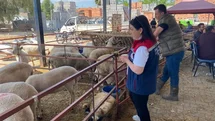 Aydın'da Kurban Bayramı Denetimleri Başladı