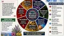Karya Farma HBX Ar-Ge Salgınlara Hazırlanıyor