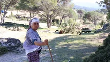 Rukiye Koca'nın Çobanlık Hikayesi