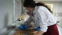 Kastamonu'da Glutensiz Çölyak Ürünü