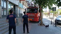 Batman'da Vefakar Kedi İkiliğiyle Kurtarıldı
