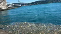 Ortaköy Sahili'nde Çöp Sorunu