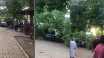 Tarsus Barajı Mesire Alanında Ağaç Park Halindeki Pikabın Üstüne Devrildi